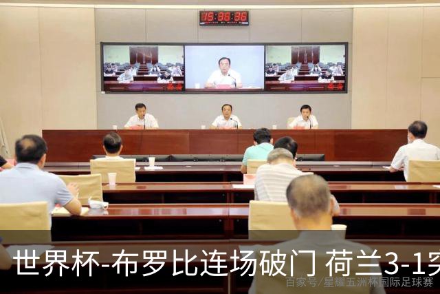 世界杯-布罗比连场破门 荷兰3-1突尼斯获小组头名将战摩洛哥