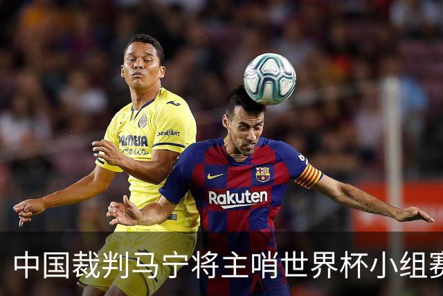 中国裁判马宁将主哨世界杯小组赛第二轮比赛